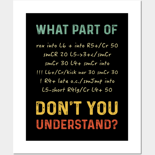 Funny What Part Of Don’t You Understand Rally Pace Notes Stenography Wall Art by tshirtguild